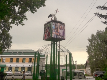 2017 год